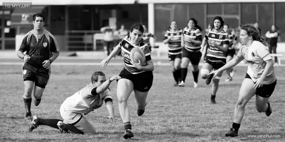 高清直播，实时互动，身临其境！🎯