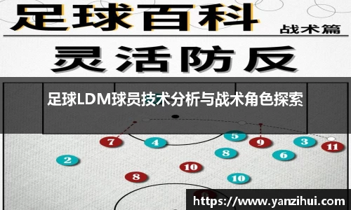 足球LDM球员技术分析与战术角色探索